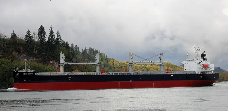 MOMI ARROW General Cargo IMO 9385506 photo 3