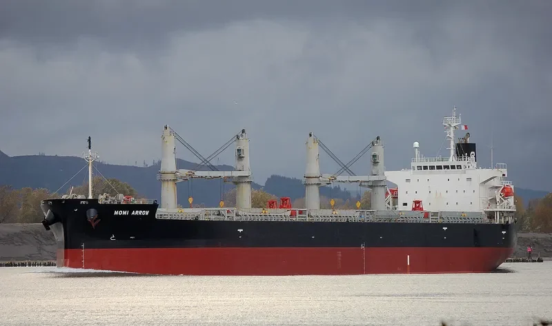 MOMI ARROW General Cargo IMO 9385506 photo 4