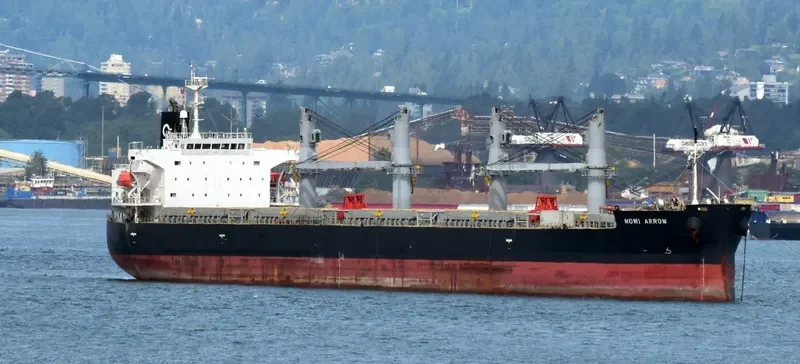 MOMI ARROW General Cargo IMO 9385506 photo 8