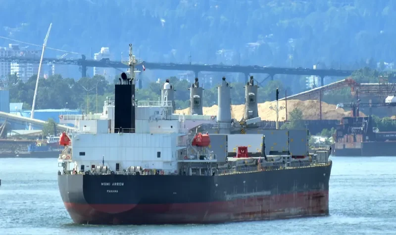 MOMI ARROW General Cargo IMO 9385506 photo 9