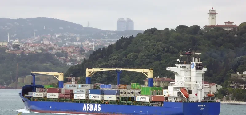 DIANE A Container Ship IMO 9385532 photo 6