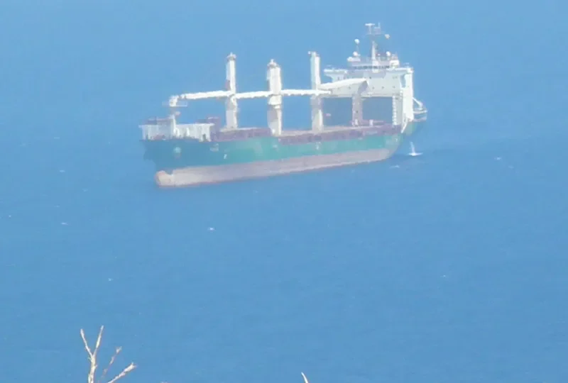GIBE General Cargo IMO 9385609 photo 4