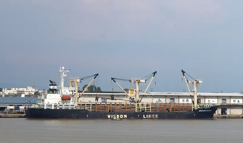 UNICORN BRAVO General Cargo IMO 9385817