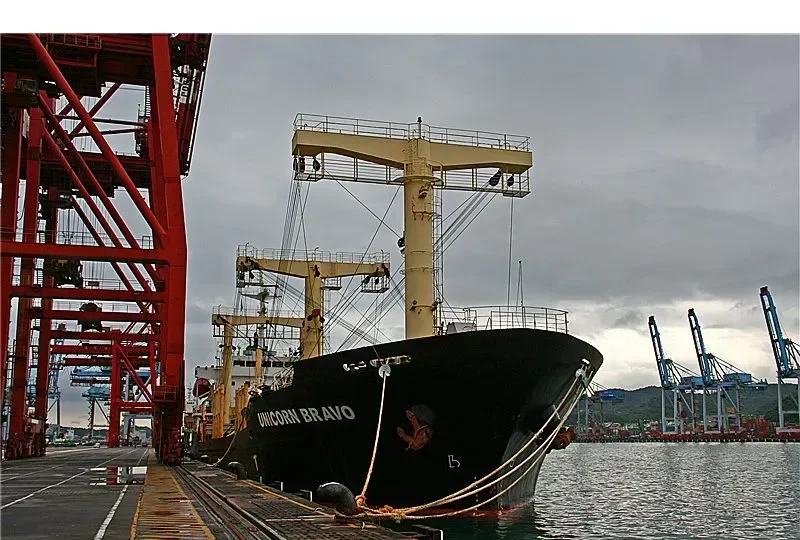 UNICORN BRAVO General Cargo IMO 9385817 photo 4