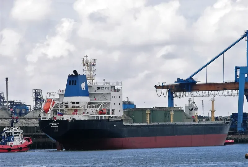 GRUMANT Bulk Carrier IMO 9385879 photo 3