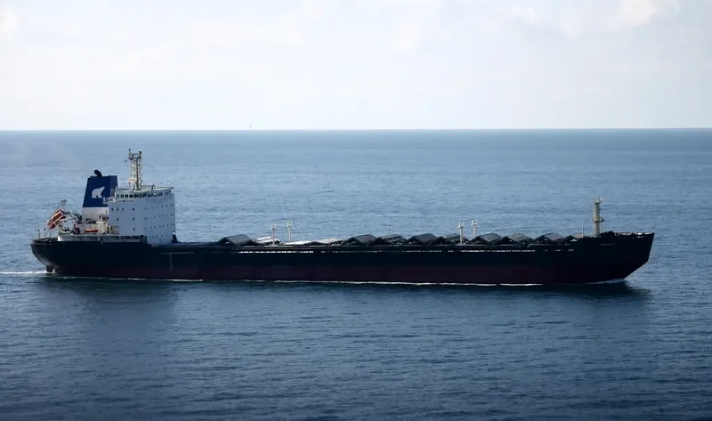 GRUMANT Bulk Carrier IMO 9385879 photo 4