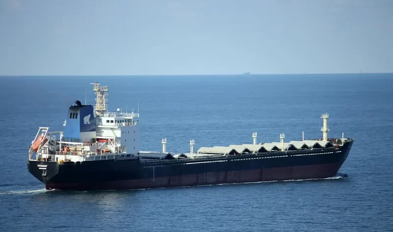 GRUMANT Bulk Carrier IMO 9385879 photo 5