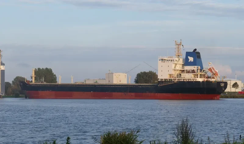 GRUMANT Bulk Carrier IMO 9385879 photo 6