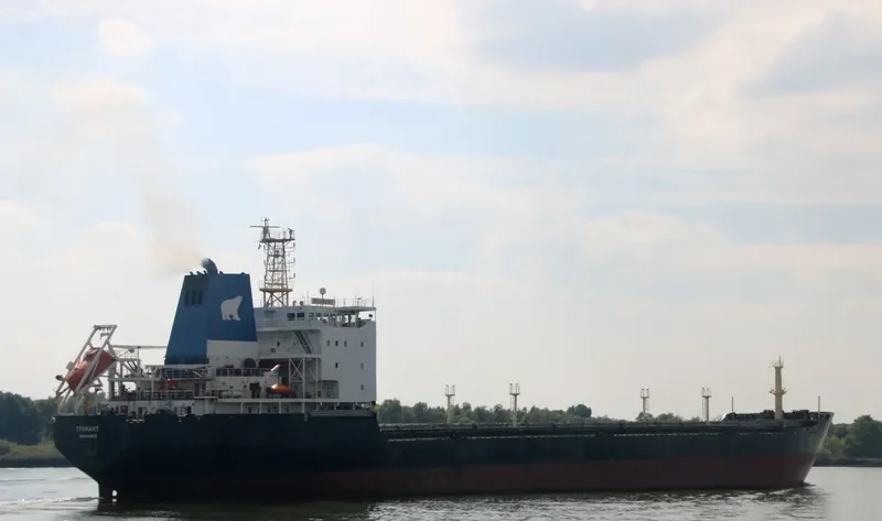 GRUMANT Bulk Carrier IMO 9385879 photo 7