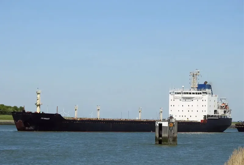 GRUMANT Bulk Carrier IMO 9385879 photo 9