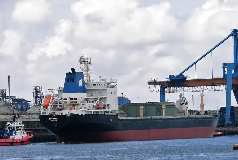 GRUMANT Bulk Carrier IMO 9385879 photo 10