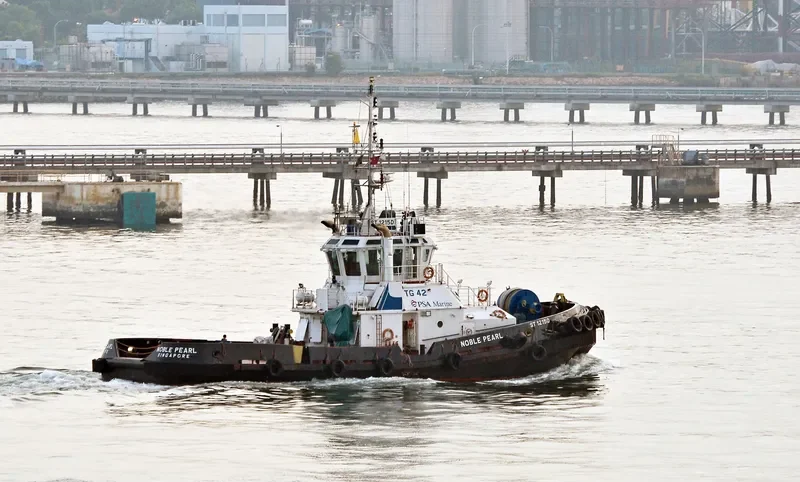 NOBLE PEARL General Cargo IMO 9386079