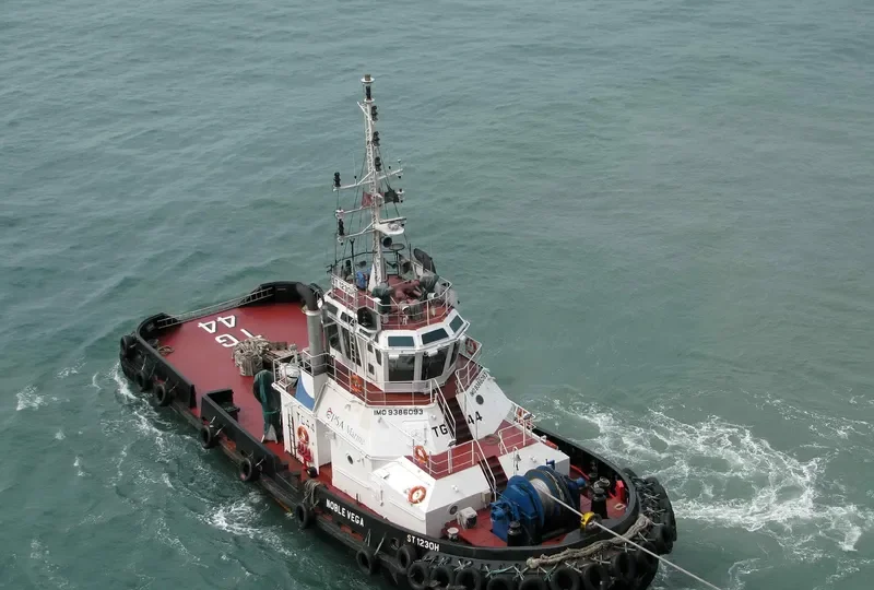 NOBLE VEGA General Cargo IMO 9386093 photo 4