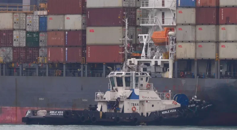 NOBLE VEGA General Cargo IMO 9386093 photo 10