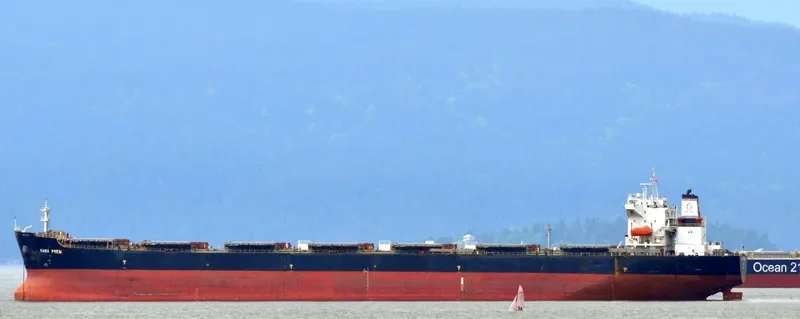 IVESTOS 4 Bulk Carrier IMO 9386251 photo 5