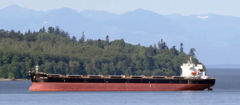 IVESTOS 4 Bulk Carrier IMO 9386251 photo 8