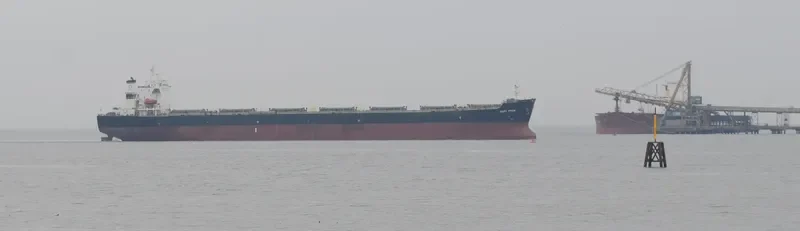 IVESTOS 4 Bulk Carrier IMO 9386251 photo 9