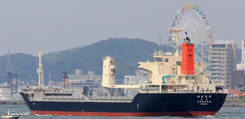 CEDROS General Cargo IMO 9386263