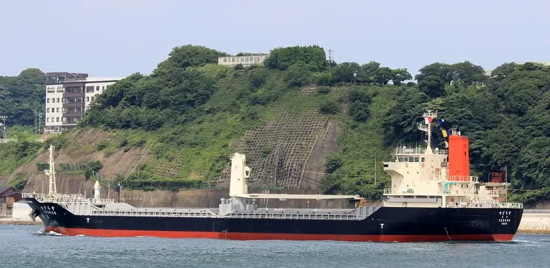 CEDROS General Cargo IMO 9386263 photo 2