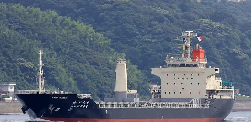 CEDROS General Cargo IMO 9386263 photo 5