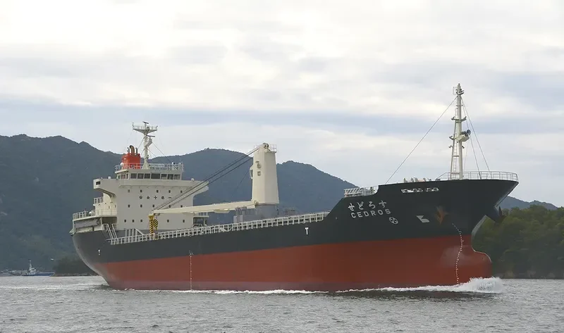 CEDROS General Cargo IMO 9386263 photo 8