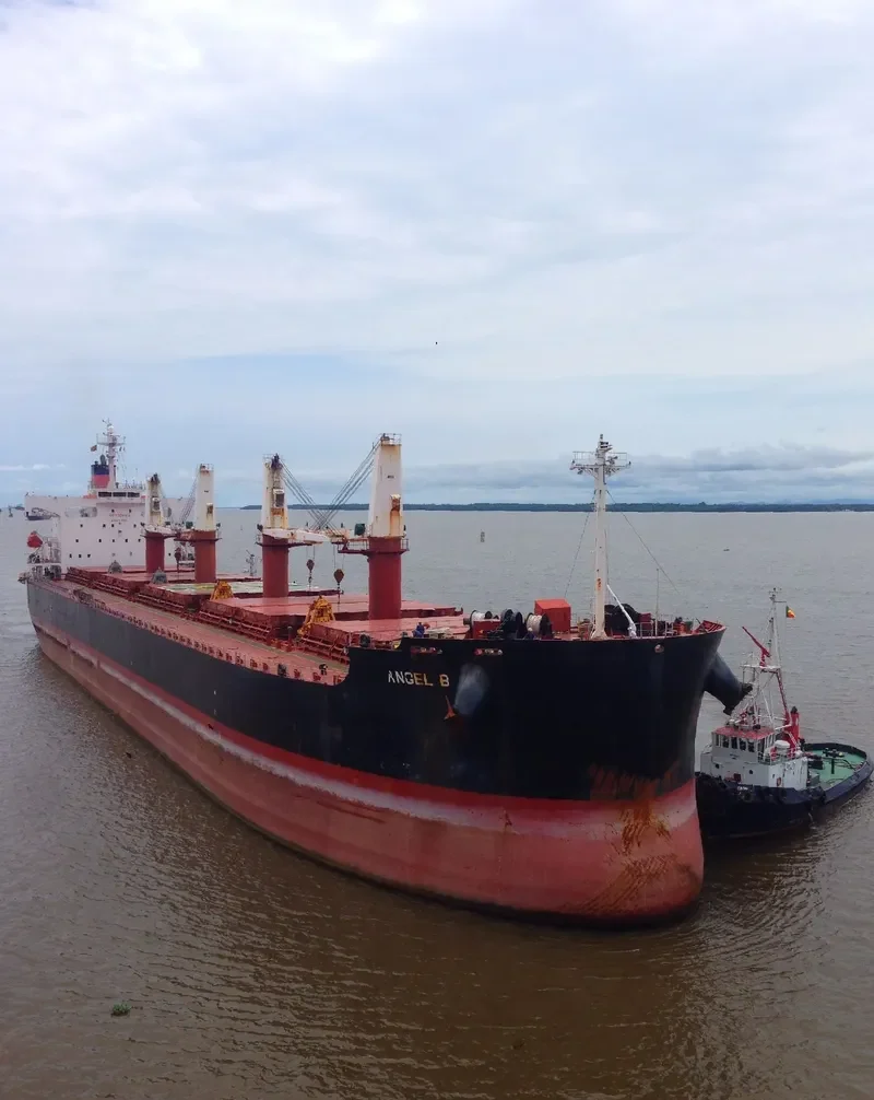 FREE STATE Bulk Carrier IMO 9386392
