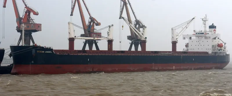 FREE STATE Bulk Carrier IMO 9386392 photo 2