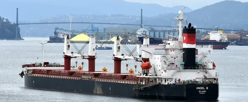 FREE STATE Bulk Carrier IMO 9386392 photo 3