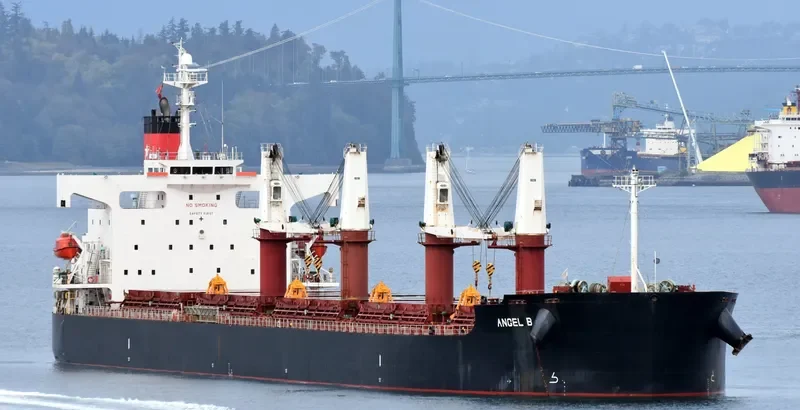 FREE STATE Bulk Carrier IMO 9386392 photo 4