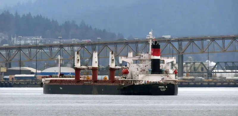 FREE STATE Bulk Carrier IMO 9386392 photo 5