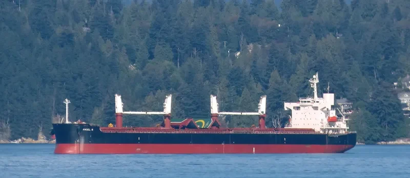 FREE STATE Bulk Carrier IMO 9386392 photo 6