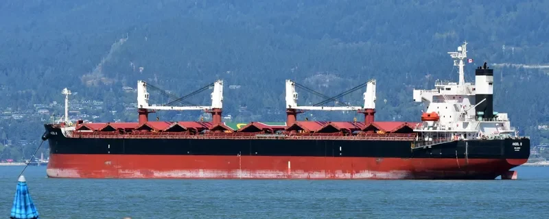 FREE STATE Bulk Carrier IMO 9386392 photo 7