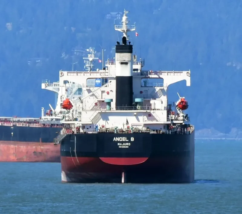 FREE STATE Bulk Carrier IMO 9386392 photo 8