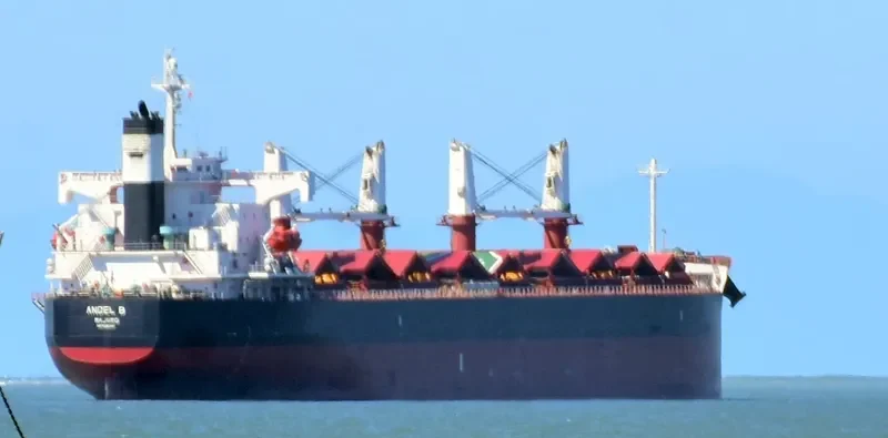FREE STATE Bulk Carrier IMO 9386392 photo 9