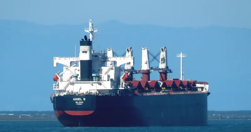 FREE STATE Bulk Carrier IMO 9386392 photo 10