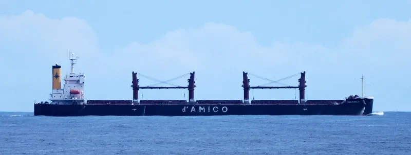 SEA BRAVERY Bulk Carrier IMO 9386407 photo 8
