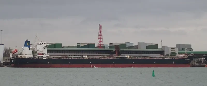 JOHNNY CASH Bulk Carrier IMO 9386421 photo 7
