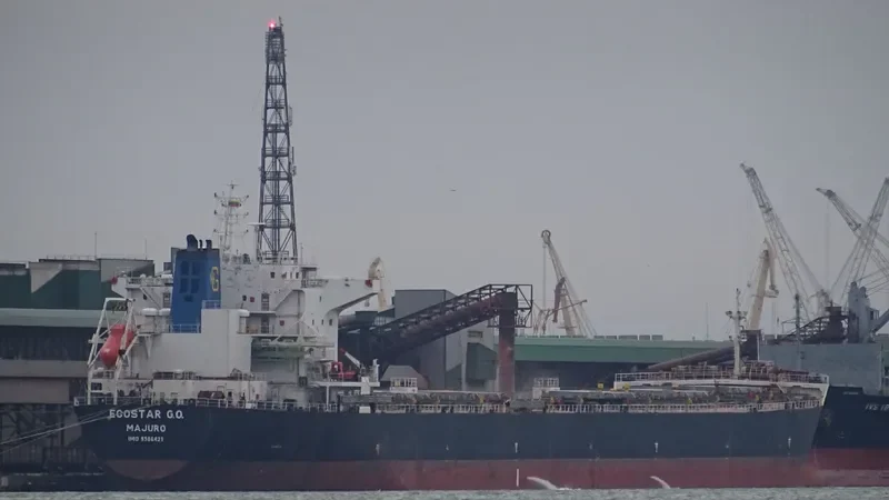JOHNNY CASH Bulk Carrier IMO 9386421 photo 8