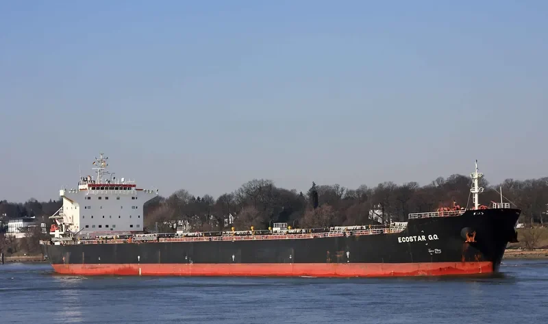JOHNNY CASH Bulk Carrier IMO 9386421 photo 10