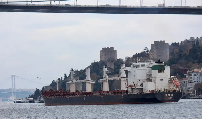 ARSHAM Bulk Carrier IMO 9386500