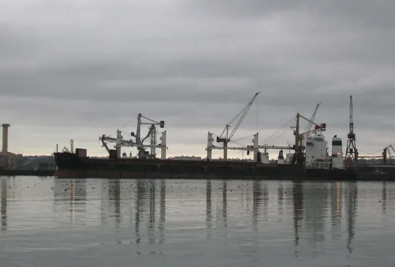 ARSHAM Bulk Carrier IMO 9386500 photo 2
