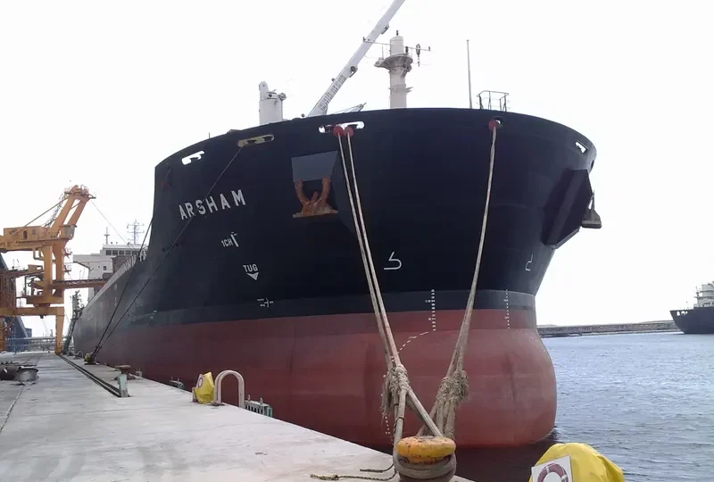 ARSHAM Bulk Carrier IMO 9386500 photo 3