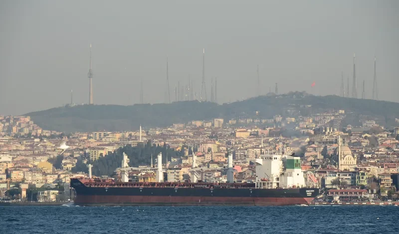 ARSHAM Bulk Carrier IMO 9386500 photo 4