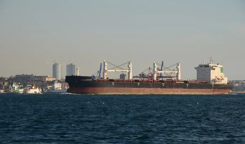ARSHAM Bulk Carrier IMO 9386500 photo 5
