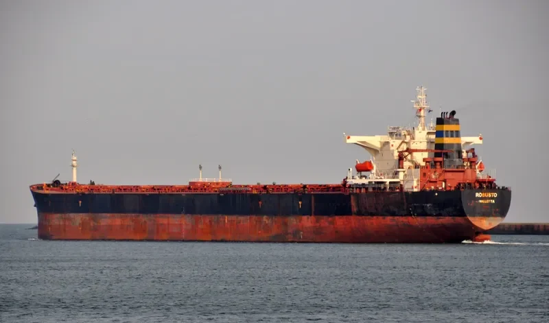 ROBUSTO Bulk Carrier IMO 9386512 photo 2