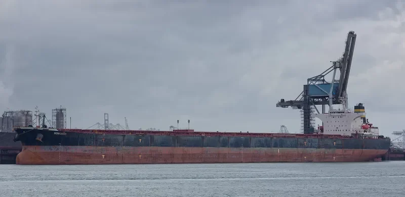 ROBUSTO Bulk Carrier IMO 9386512 photo 4
