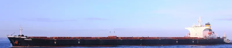 ROBUSTO Bulk Carrier IMO 9386512 photo 7