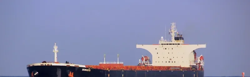 ROBUSTO Bulk Carrier IMO 9386512 photo 8