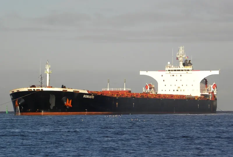 ROBUSTO Bulk Carrier IMO 9386512 photo 9