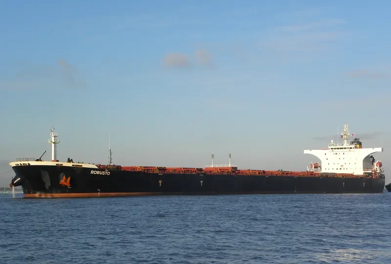 ROBUSTO Bulk Carrier IMO 9386512 photo 10